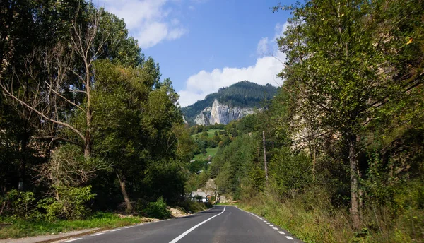 Carretera Curva Bosque Cerca Montaña — Foto de Stock