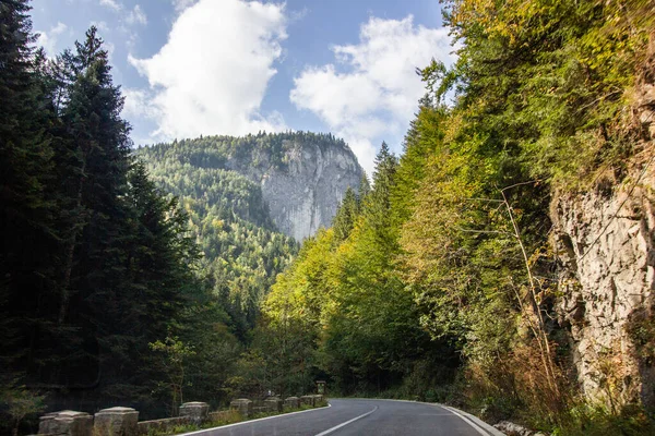 Carretera Curva Bosque Cerca Montaña — Foto de Stock