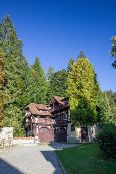 Bellissimo Palazzo Vecchio Edificio Una Foresta — Foto Stock