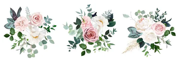 Peonie bianche, rose rosa arrossite e polverose, fresia fiorita, eucalipto, salina, erba di pampas — Vettoriale Stock