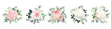Kızarık pembe bahçe gülleri, beyaz şakayık, ranunculus çiçeği vektör buketleri.