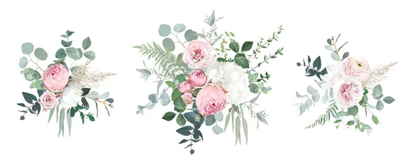 Roses de jardin rose rougissant, ranunculus, bouquets vectoriels de fleurs d'hortensia — Image vectorielle