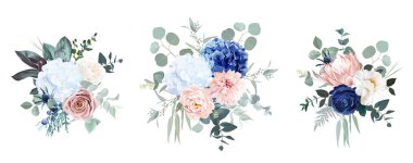 Kızarık pembe gül, ranunculus, yıldız çiçeği, şakayık, ortanca, ardıç, protea