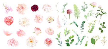 Pembe gül, ortanca, zambak, beyaz şakayık, kamelya, ranunculus, bahar bahçesi çiçekleri.