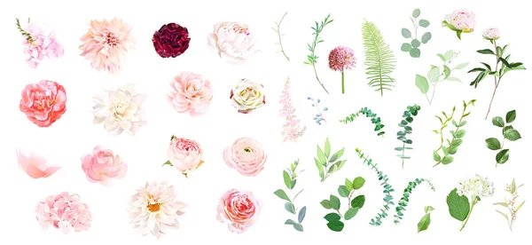 Rosa rosa, hortensias, dalia, peonía blanca, camelia, ranúnculo, flores de jardín de primavera — Vector de stock
