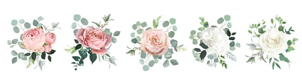 Blush pink garden roses, white hydrangea flowers, eucalyptus vector design bouquets — 스톡 벡터