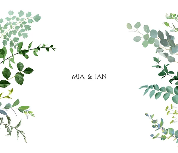 Herbal horizontal vector frame. Hand painted plants, branches, leaves on a white background —  Vetores de Stock