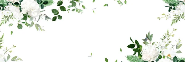 Klassieke witte pioenroos, hortensia, magnolia en orchidee bloemen, eucalyptus, varens, salal, groen, vector horizontale banner — Stockvector