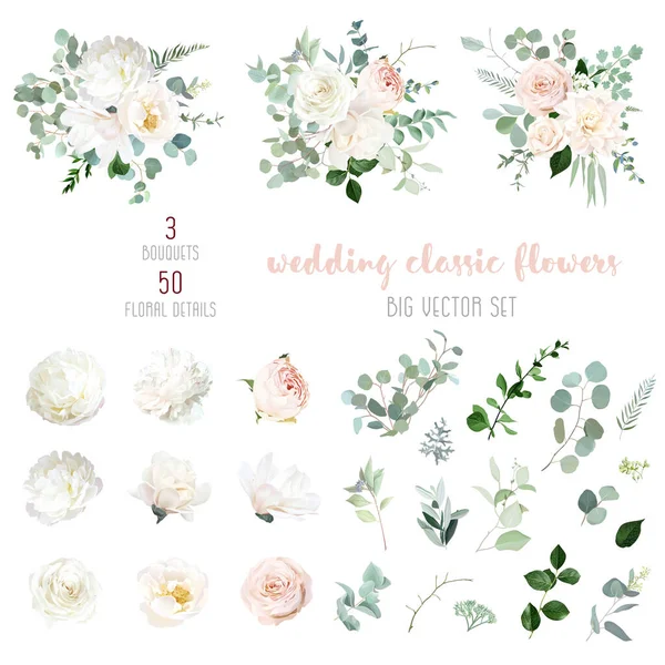 Rosier rose rougissant et verdure sauge, pivoine ivoire, magnolia, dahlia beige, fleurs de ranunculus, collection de vecteurs d'eucalyptus. — Image vectorielle