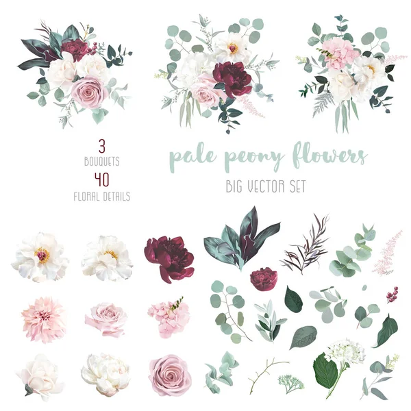 Pale Red Peony Dusty Rose Ivory White Magnolia Blush Dahlia — Stockvector