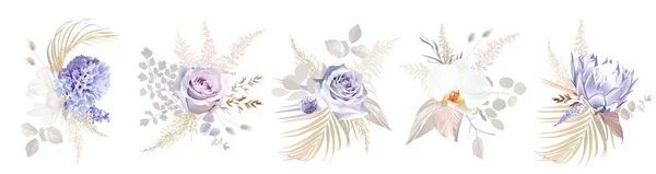 Purple Mauve Rose Violet Hyacinth Magnolia White Orchid Protea Pampas — Stock vektor