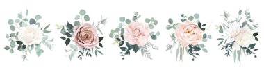 Blush pink rose, ranunculus, camellia, ivory magnolia flowers, eucalyptus, fern vector design bouquets. Wedding floral and greenery. Mint, pink, silver, sage tones. Elements are isolated and editable