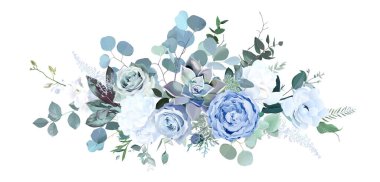 Dusty blue rose, white hydrangea, ranunculus, magnolia, anemone, succulent, greenery, ardıç vektör demeti. Düğün mevsimlik çiçekleri. Çiçekli suluboya kompozisyon. İzole ve düzenlenebilir