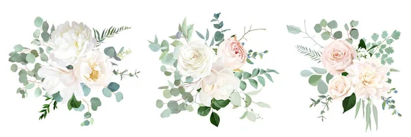 粉红玫瑰和鼠尾草 象牙牡丹 木兰花 米黄色大丽花 桉树病媒收集 花冠水彩画婚礼套件 所有元素都是孤立和可编辑的 — 图库矢量图片