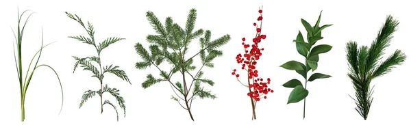 季節のハーブと植物のベクトルコレクションのミックス クリスマス冬の緑 ひげ草 緑のトウヒ 赤い冬のベリーと松の茎 水彩風セット 要素は隔離および編集可能です — ストックベクタ
