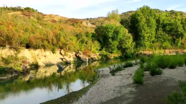 Sonbahar öğleden sonra ormandaki Reno Nehri