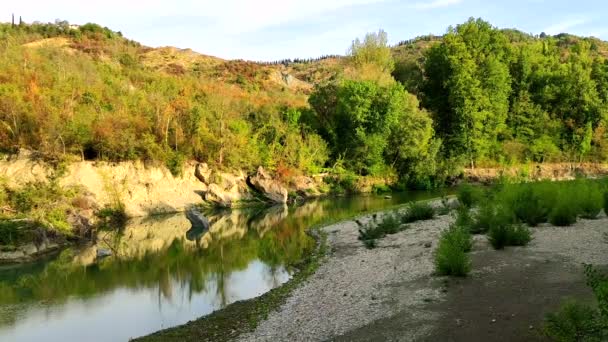 Reno Fluss Wald Nachmittag Des Herbstes — Stockvideo