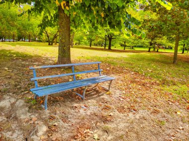 Baharın güneşli bir gününde parkta bankta