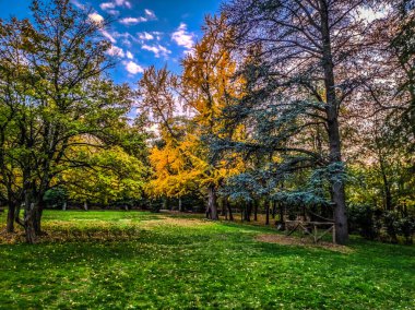 Talon Park (parco della chiusa), Bologna şehri yakınlarında, bir sonbahar öğleden sonra