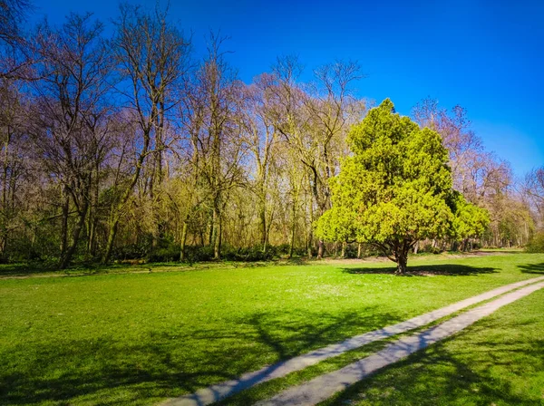 Güneşli ve bulutlu bir bahar gününde çayır
