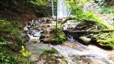 Pan view of a small waterfall in a forest