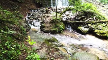 tilt view of small waterfall in a forest