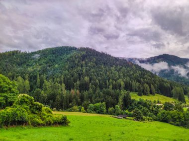 landscape of forest with fog and clouds