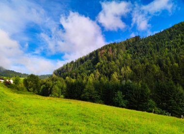 Landscape of mountain forest on a sunny and cloudy day