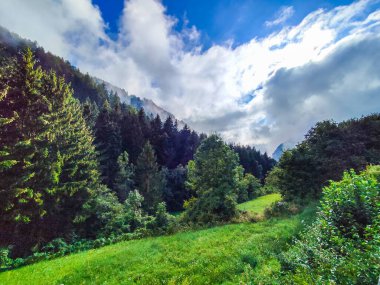 Landscape of mountain forest on a sunny and cloudy day