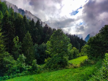 Landscape of mountain forest on a sunny and cloudy day