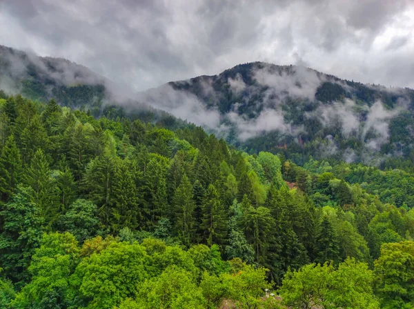 Landscape Forest Fog Clouds — Stock Photo, Image