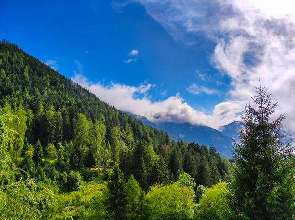 Landscape Mountain Forest Sunny Cloudy Day — Stockfoto