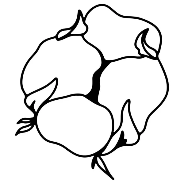 Przytulny Pączek Bawełny Kawaii Bazgroły Cyfrowa Sztuka Konturu Rint Banery — Zdjęcie stockowe