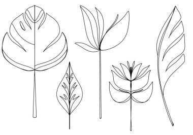 Dijital sanat. Hoş taslak. Tropik yapraklar, çiçek seti. Kumaş baskısı, ambalaj kağıdı, kapaklar, kartpostallar, davetiyeler, posterler, afişler, web tasarımı.