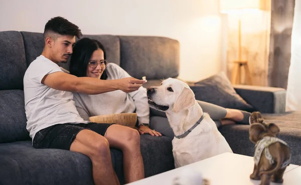 couple at home watching movie with their dog