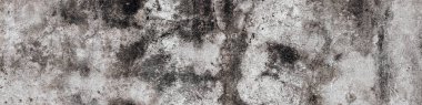 Soyut grunge beton duvar desenli arka plan. Uzun web sitesi başlığı veya başlık biçimi.