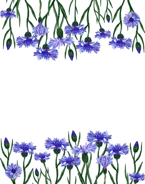 Aquarell Blaue Kornblumen Umrahmen Isoliert Auf Weißem Hintergrund Einfach Für — Stockfoto