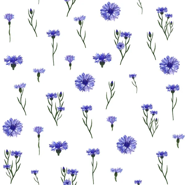 Aquarell Nahtlose Muster Blaue Kornblumen Isoliert Auf Weißem Hintergrund Einfach — Stockfoto