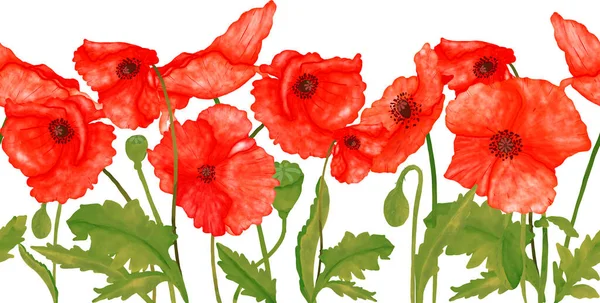 Watercolor Seamless Border Red Poppy Isolated White Background Easy Sublimation — Stock Photo, Image