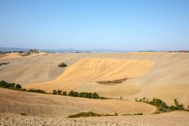 Ascanio (SI), İtalya - 02 Ağustos 2021: Girit Senesi, Asciano, Siena, Toskana, İtalya