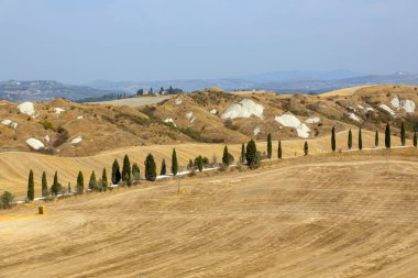 Ascanio (SI), İtalya - 02 Ağustos 2021: Girit Senesi, Asciano, Siena, Toskana, İtalya