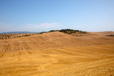 Ascanio (SI), İtalya - 02 Ağustos 2021: Girit Senesi, Asciano, Siena, Toskana, İtalya