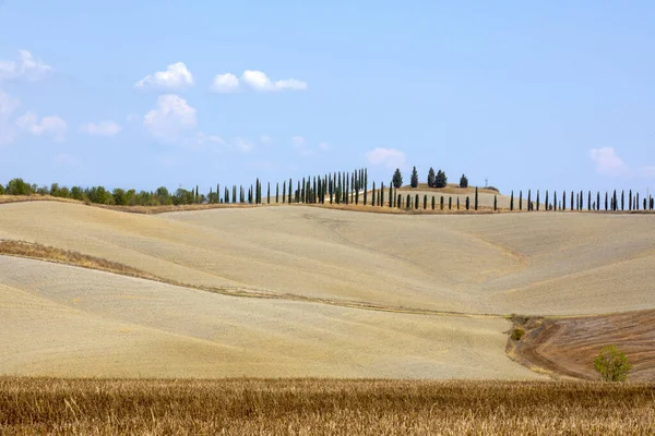 Asciano Italia Agosto 2021 Escenario Típico Creta Senesi Asciano Siena —  Fotos de Stock