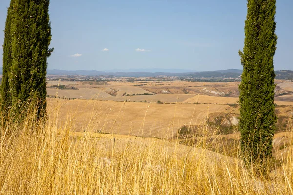 Asciano Italien Augusti 2021 Typiskt Landskap Kreta Senesi Asciano Siena — Stockfoto