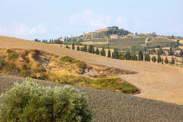 San Quirico Orcia Italia Agosto 2021 Escenario Típico Val Orcia —  Fotos de Stock