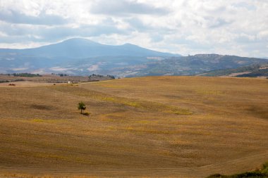 San Quirico d 'Orcia (SI), İtalya - 05 Ağustos 2021: Cappella della Madonna di Vitaleta yakınlarındaki manzara, Toskana, İtalya