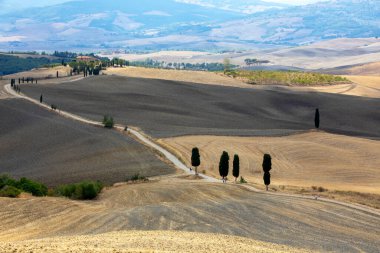 Val d 'Orcia (SI), İtalya - 05 Ağustos 2021: Val d' Orcia peyzajı, Toskana, İtalya
