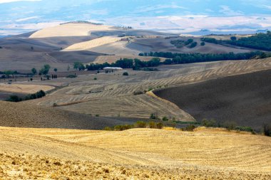 Val d 'Orcia (SI), İtalya - 05 Ağustos 2021: Val d' Orcia peyzajı, Toskana, İtalya
