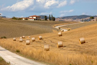 Val d 'Orcia (SI), İtalya - 05 Ağustos 2021: Orcia, Tuscany, İtalya