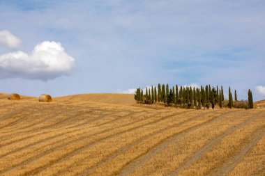 Val d 'Orcia (SI), İtalya - 05 Ağustos 2021: Orcia, Tuscany, İtalya
